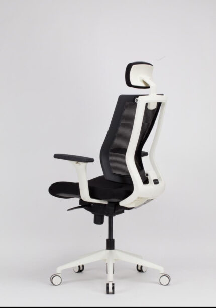 Visionary Modern Chair