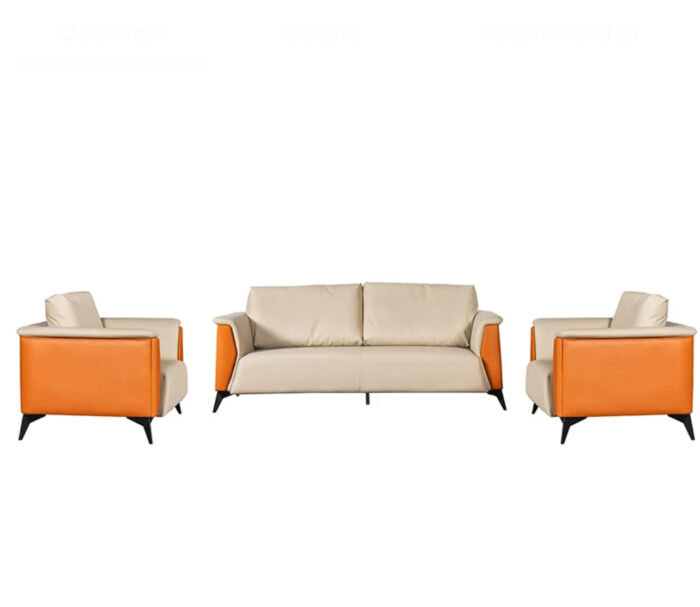 Vibrant Elegance Sofa Set